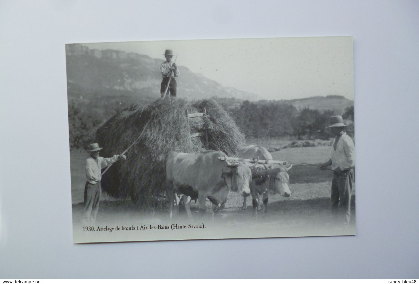 AIX LES BAINS  -  Haute Savoie  -  Attelage De Boeufs     ( 1930 ) -  éditions ATLAS - Attelages