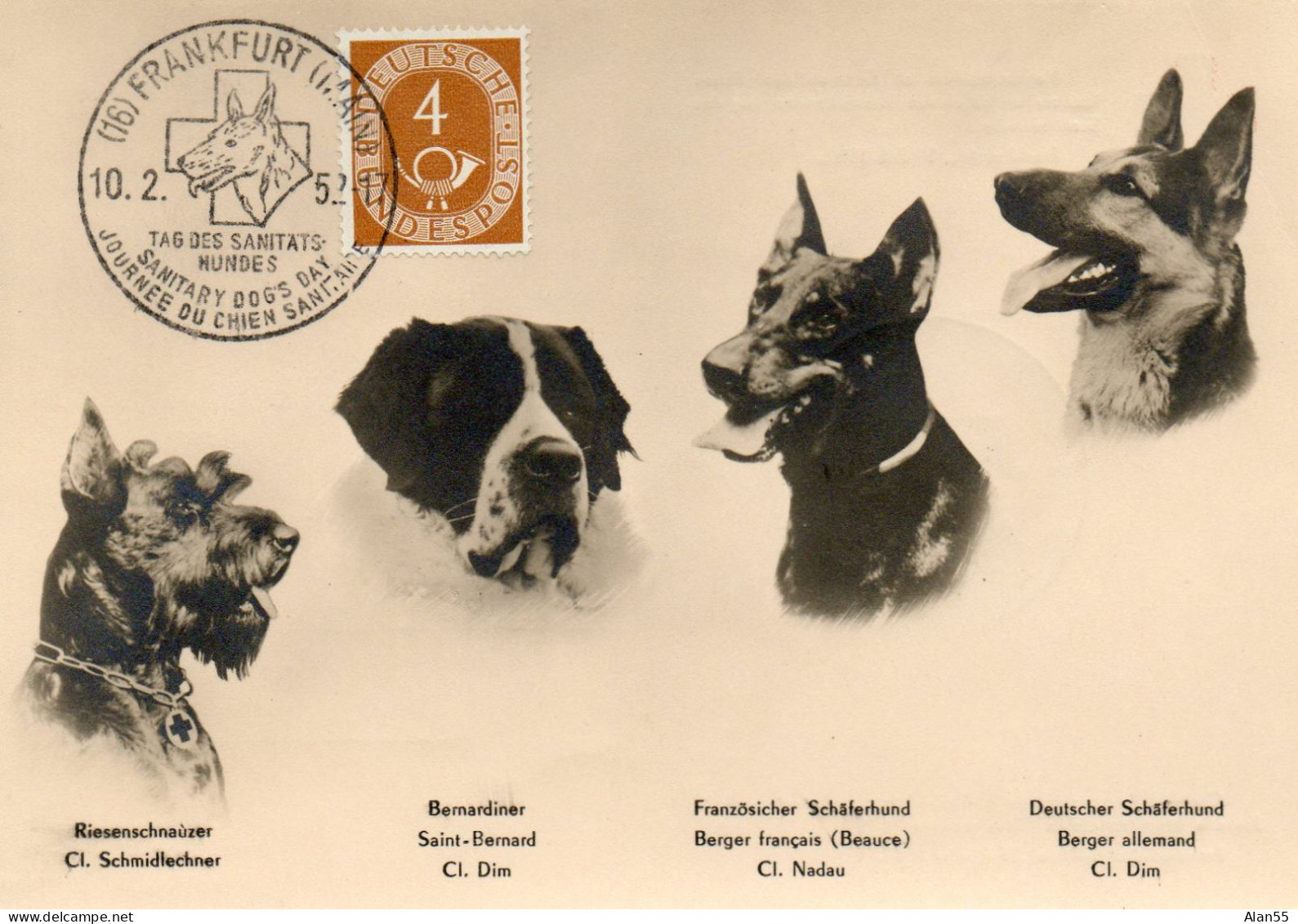 ALLEMAGNE.1952. "JOURNEE DU CHIEN SANITAIRE".CARTE MAXIMUM. - Dogs