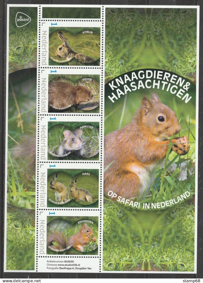 Nederland NVPH 3642 Vel Persoonlijke Zegels Op Safari Knaagdieren 2024 MNH Postfris Rabbit Beaver Squirrel - Sellos Privados