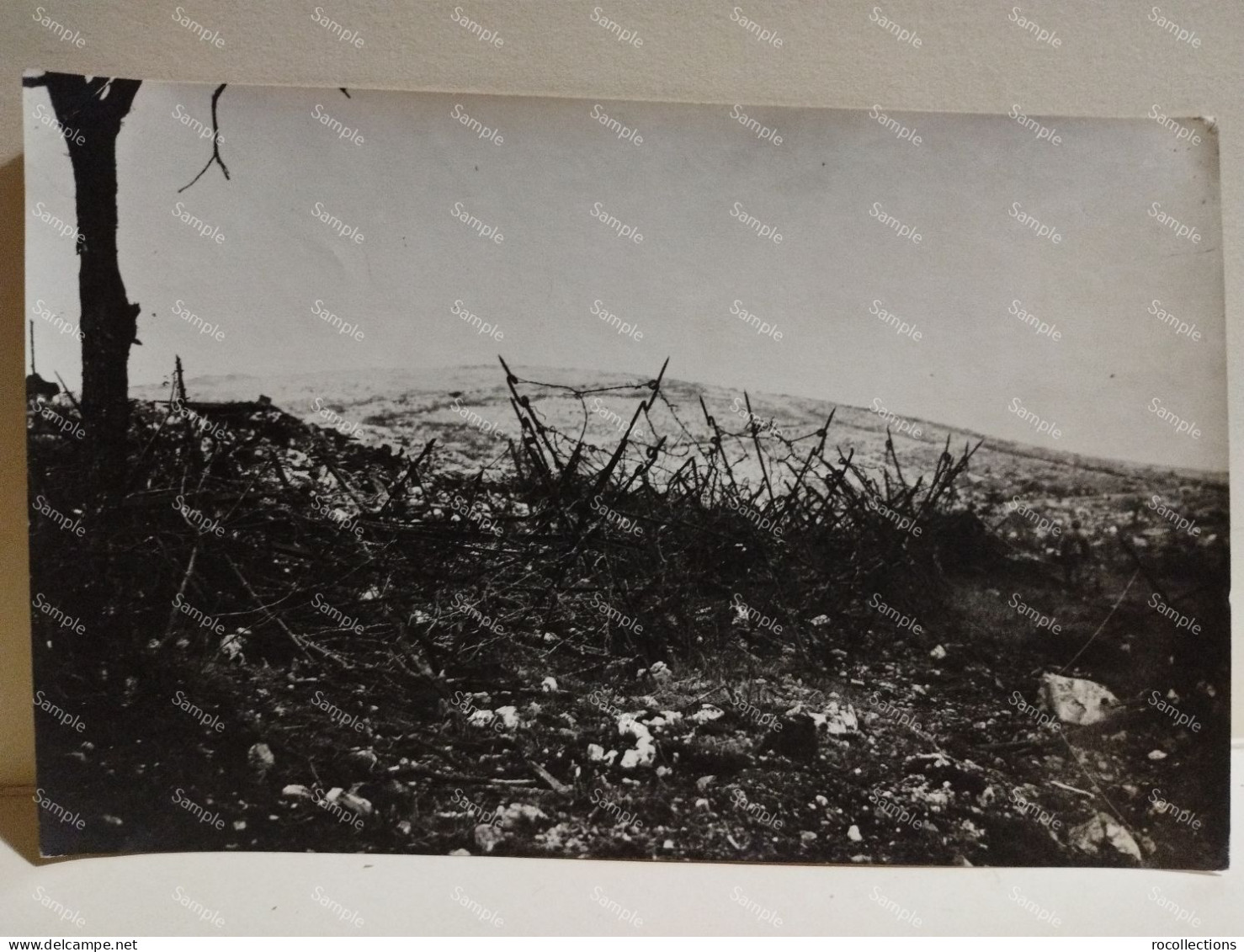 Italia Foto Grande Guerra Da Identificare. Reticolato S. Michele. (San Martino Del Carso ?) Vedi Retro - Oorlog, Militair