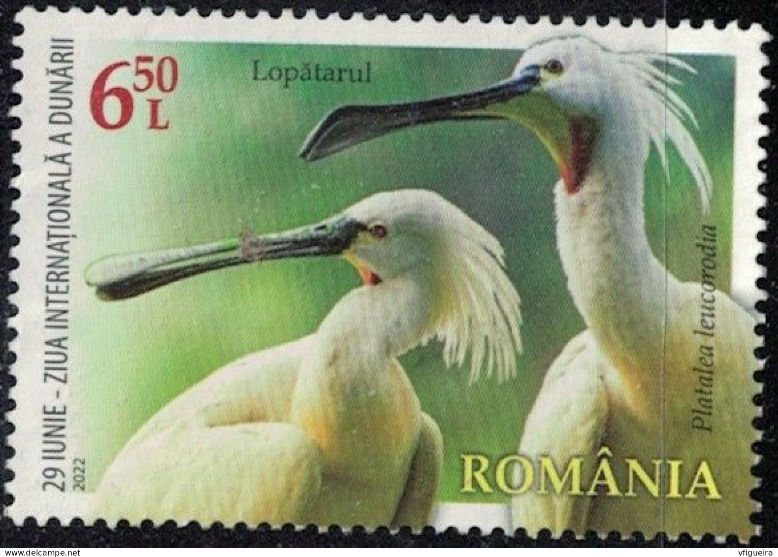 Roumanie 2022 Used Oiseau Platalea Leucorodia Spatule Blanche Y&T RO 6885 SU - Ongebruikt