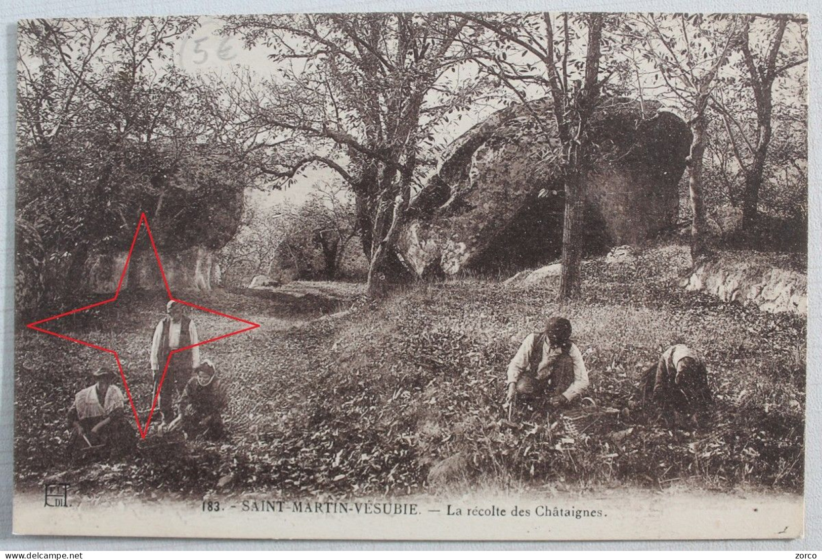 SAINT MARTIN VESUBIE.  La Récolte Des CHÂTAIGNES. - Saint-Martin-Vésubie