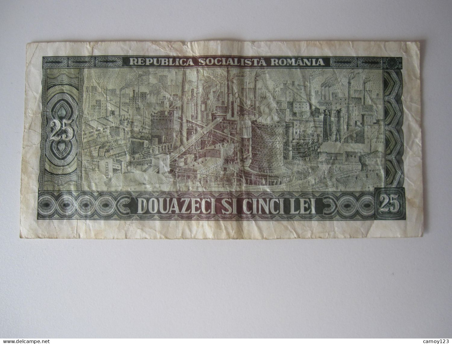 Billet De 25 Lei – Roumanie – 1966 - Romania