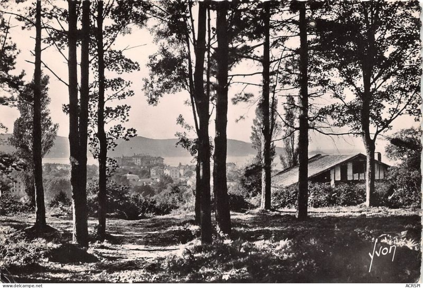 HENDAYE Le Bois De Saskoenea 30(scan Recto-verso) MA1906 - Hendaye