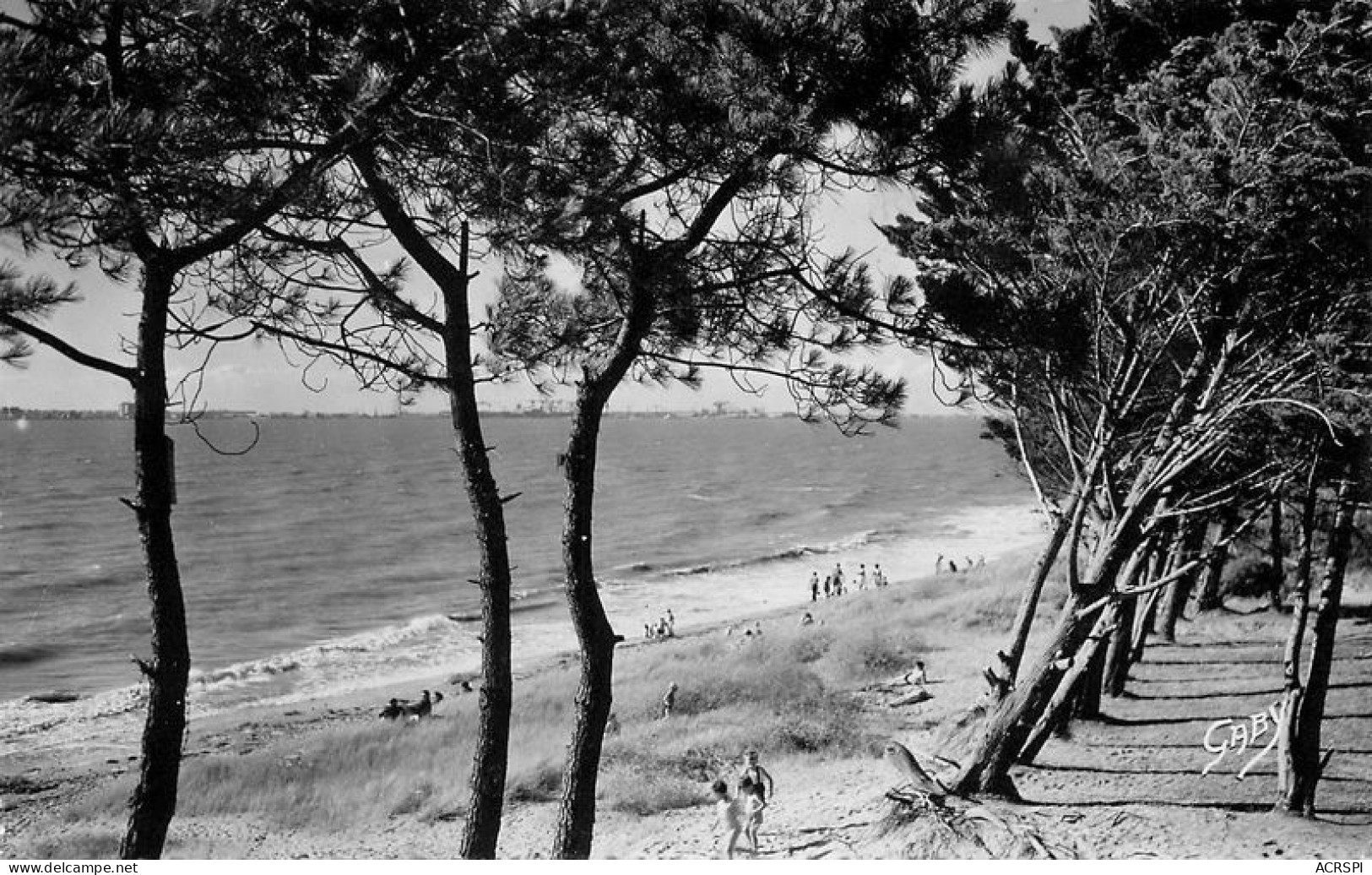 SAINT BREVIN LES PINS Sous Bois à La Courance   1   (scan Recto-verso)MA1901Bis - Saint-Brevin-les-Pins