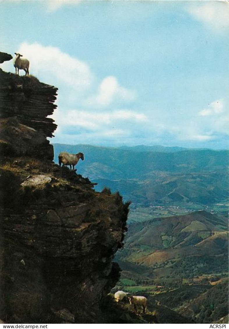 LARUN GAIN Vue Sur Les Monts De Navarre   1   (scan Recto-verso)MA1917 - Laruns