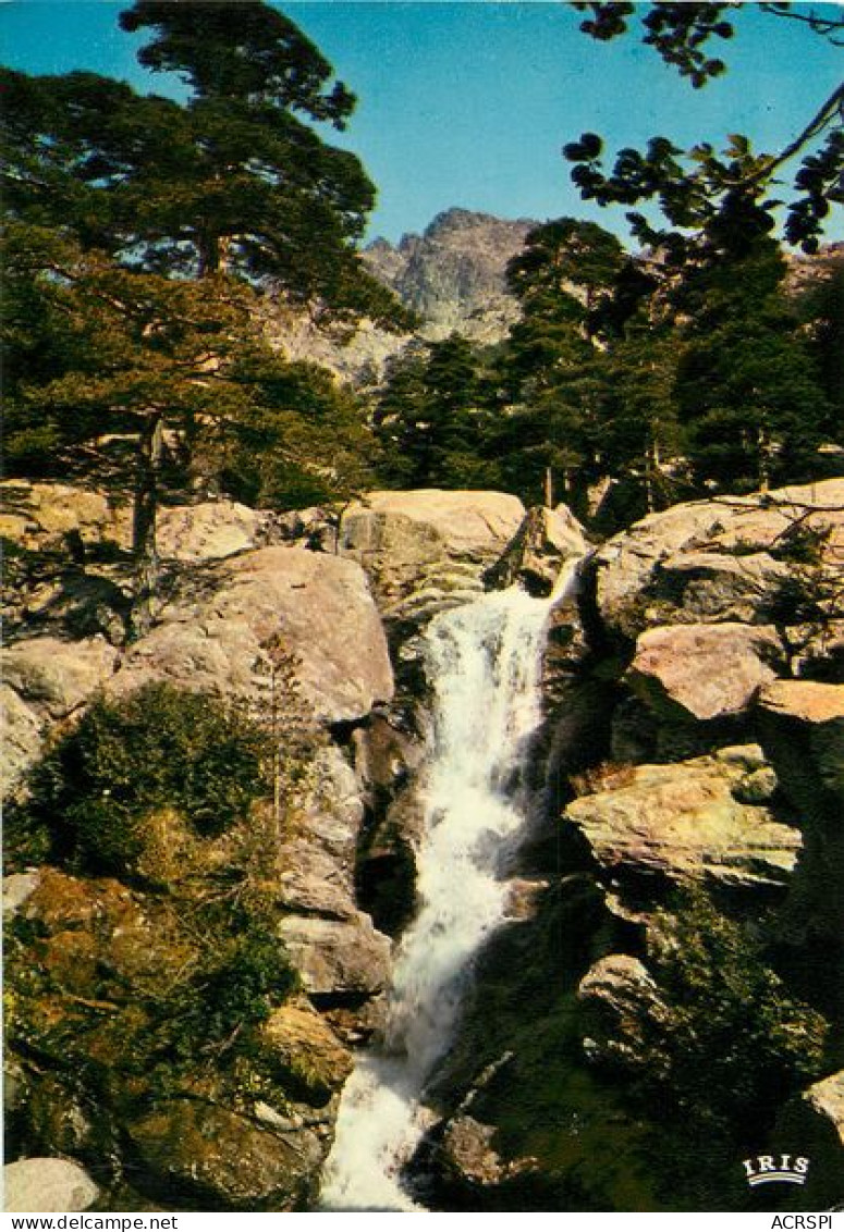 Vivario, En Haute-Corse VIZZAVONA Cascade Des Anglais    45   (scan Recto-verso)MA1935Ter - Other & Unclassified