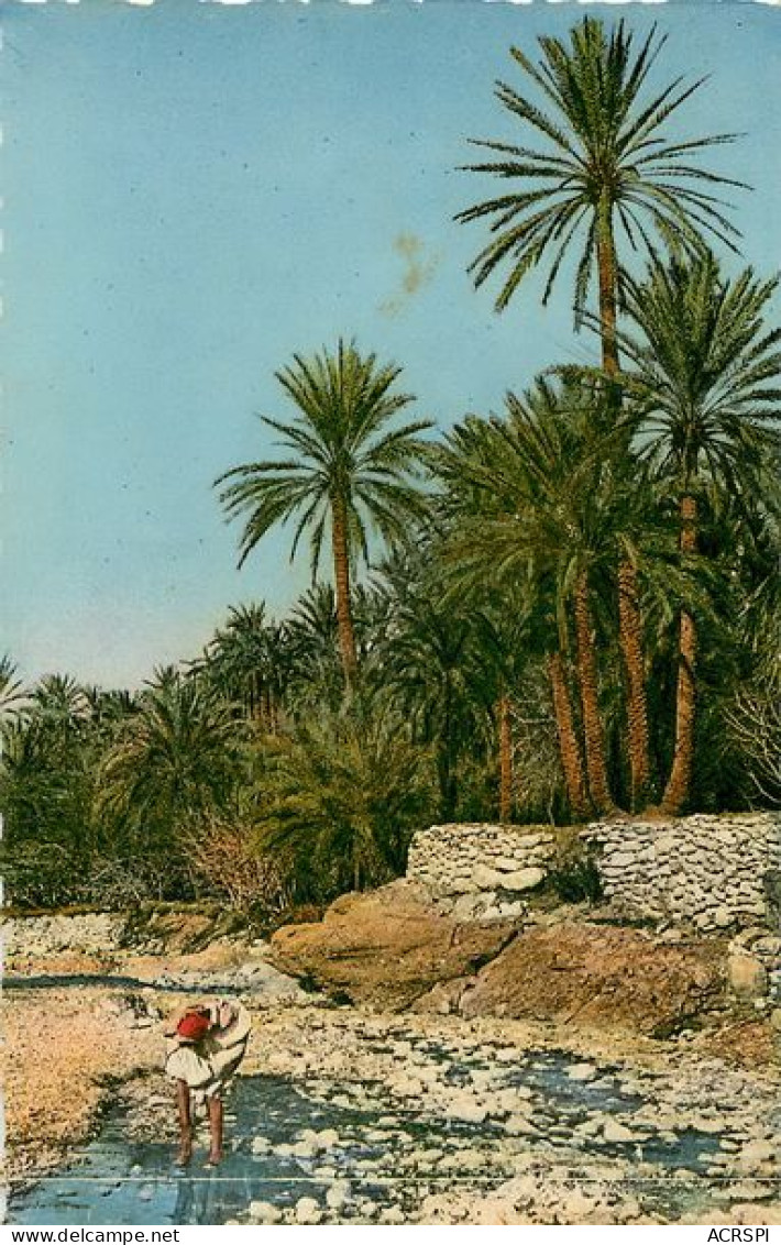 ALGERIE  El Kantara  Kantara  Gantara DANS LA RIVIERE  Biskra  Batna    29  (scan Recto-verso)MA1931Ter - Sonstige & Ohne Zuordnung