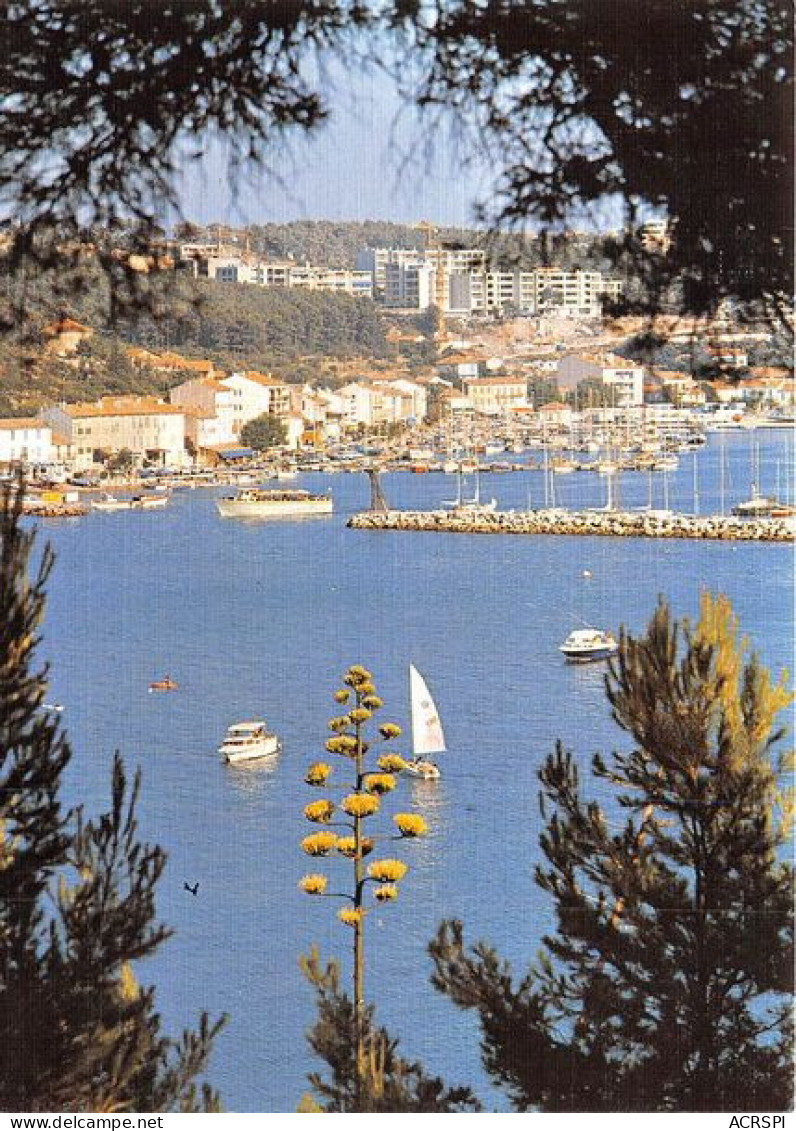 SAINT MANDRIER Le Port 12(scan Recto-verso) MA1945 - Saint-Mandrier-sur-Mer