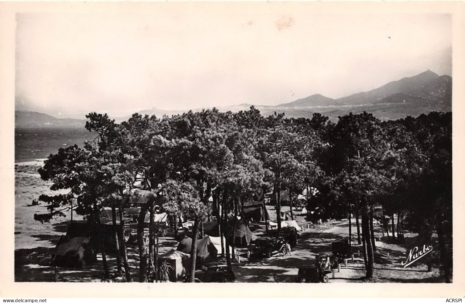 ARGELES SUR MER Les Pins 7(scan Recto-verso) MA1938 - Argeles Sur Mer