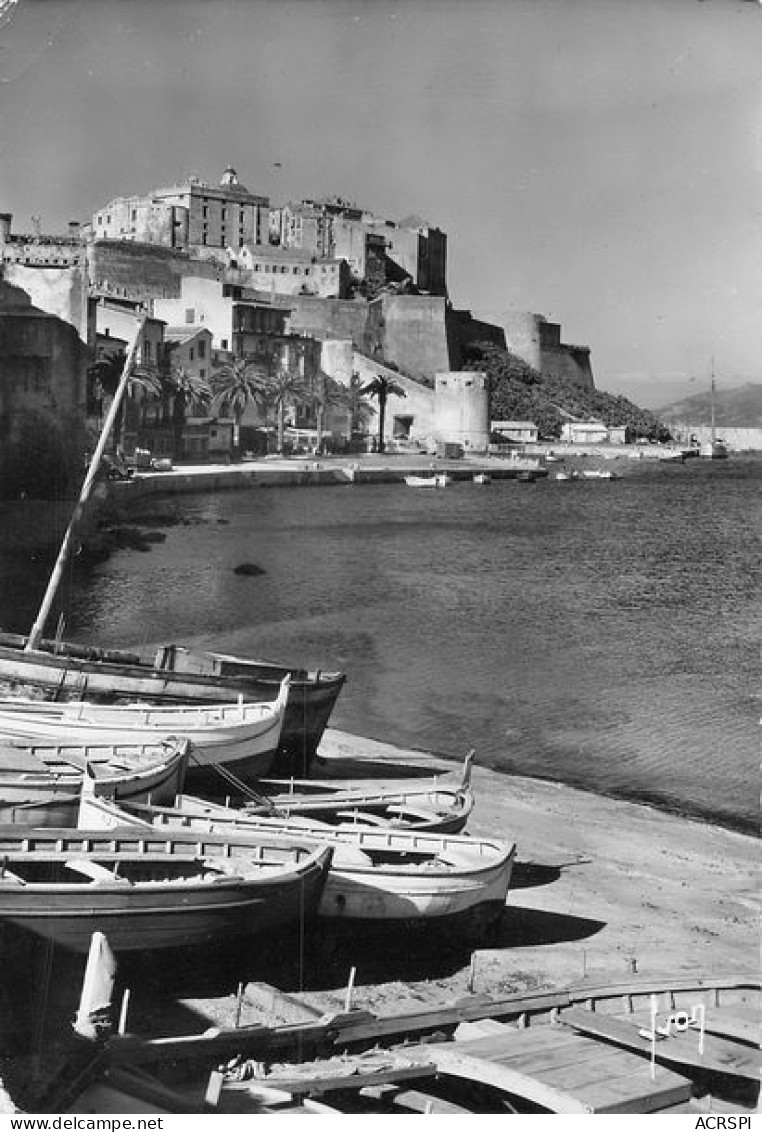 CALVI Le Port Et La Citadelle  20   (scan Recto-verso)MA1967 - Calvi