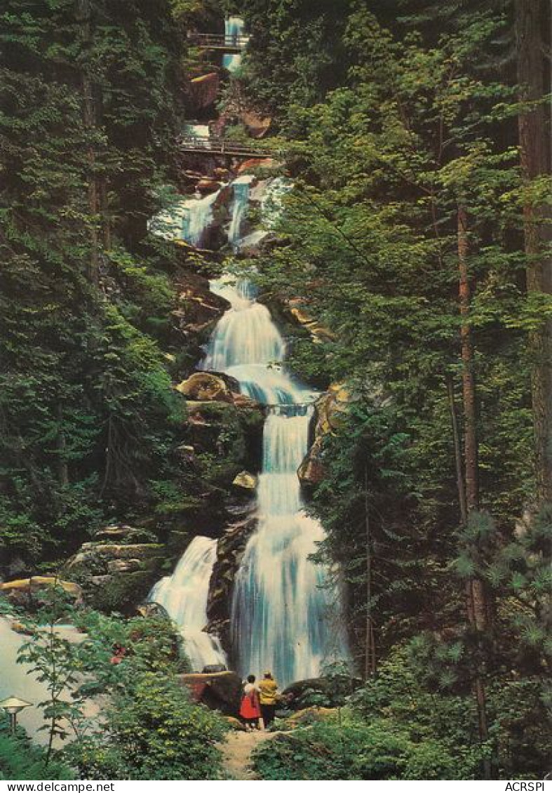 Triberg Im Schwarzwald  Kaskaden  36  (scan Recto-verso)MA1988Ter - Triberg