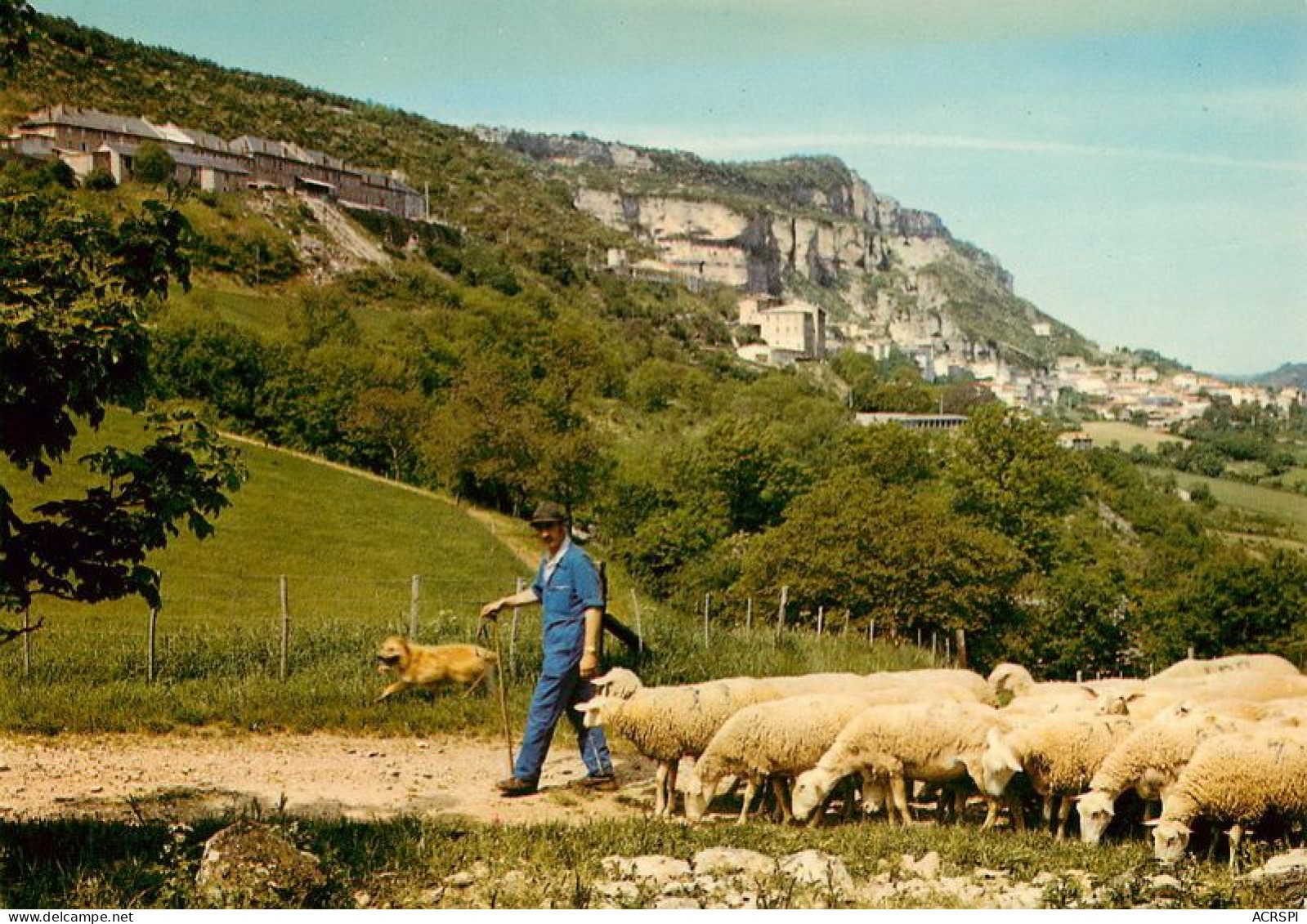 ROQUEFORT Un Troupeau De Brebis  31 (scan Recto-verso)MA1990Bis - Roquefort