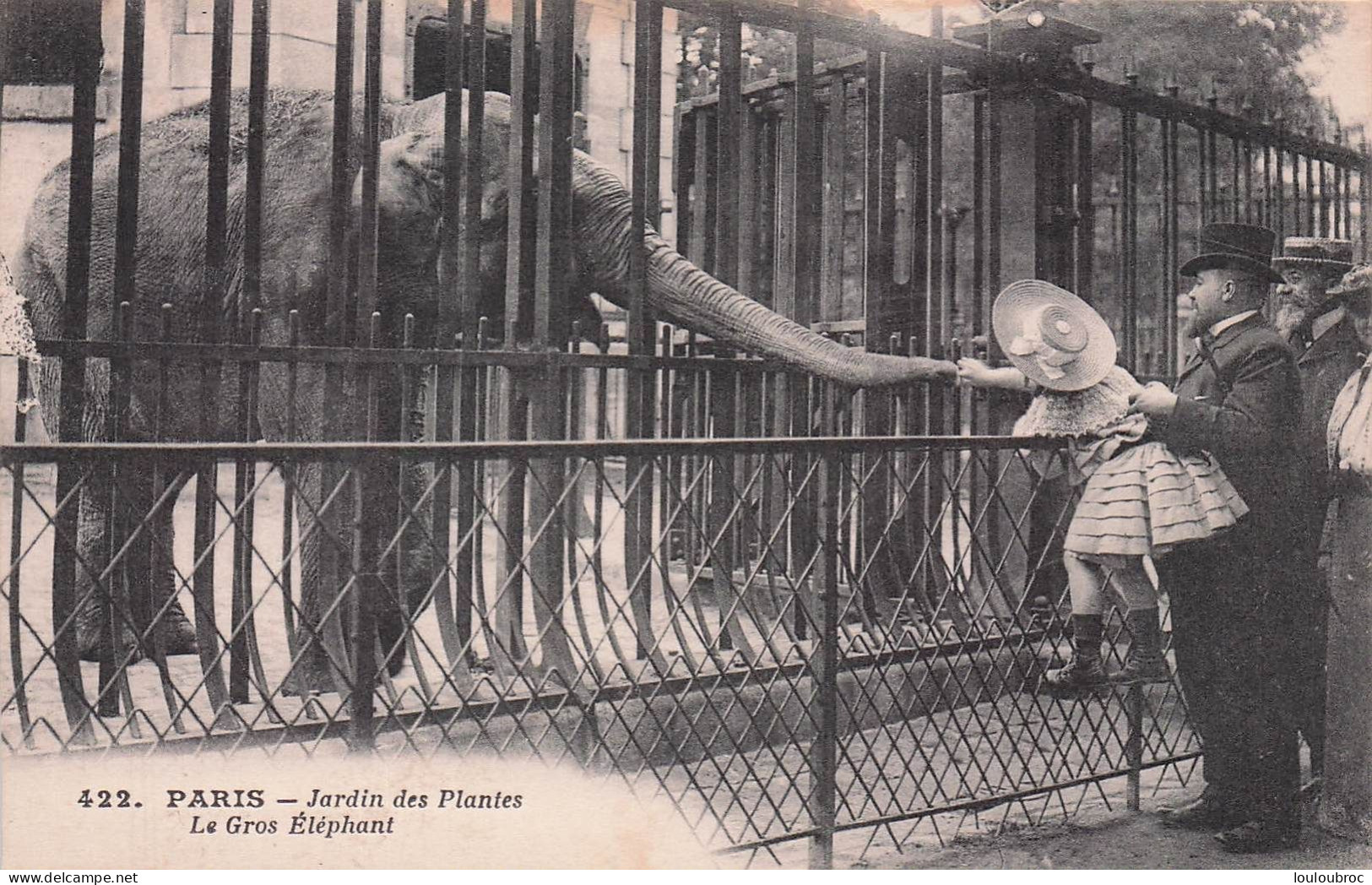 PARIS LE GROS ELEPHANT  JARDIN DES PLANTES - Parcs, Jardins