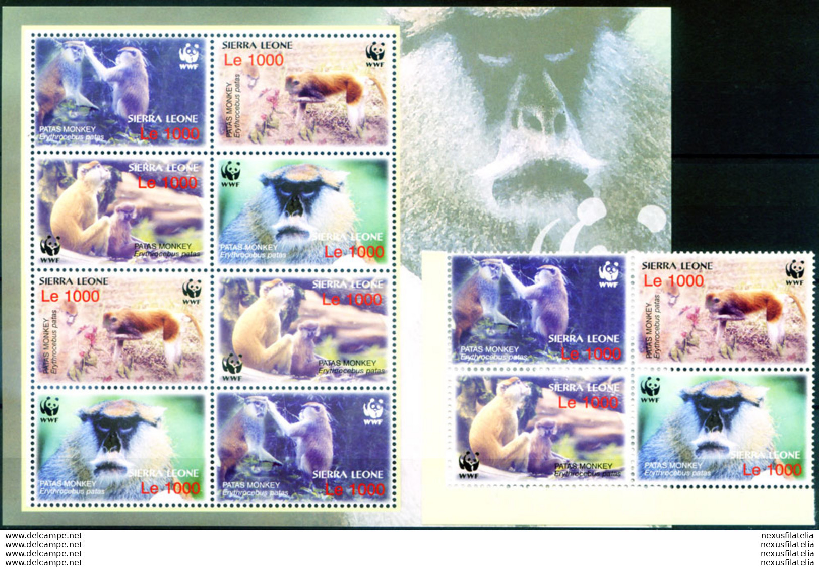 Fauna. Scimmie 2004. - Sierra Leone (1961-...)