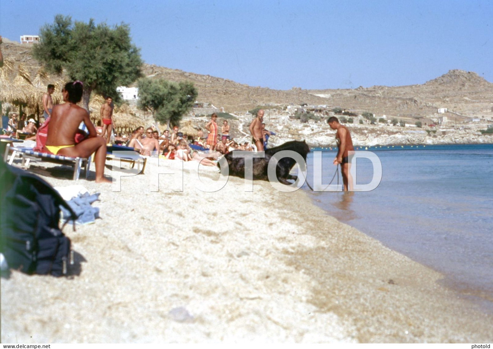 3 SLIDES SET HORSE BEACH CHEVAL 1980s MYCONOS GREECE ORIGINAL AMATEUR 35mm DIAPOSITIVE SLIDE Not PHOTO FOTO NB4042 - Diapositivas