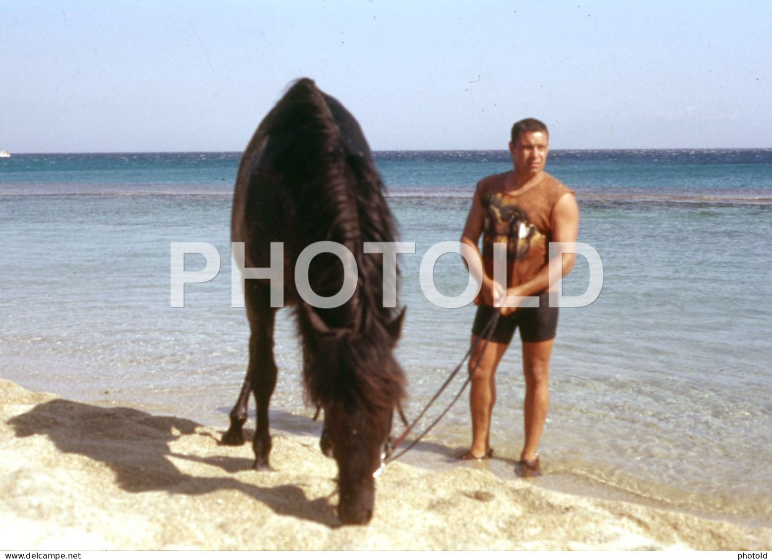 3 SLIDES SET HORSE BEACH CHEVAL 1980s MYCONOS GREECE ORIGINAL AMATEUR 35mm DIAPOSITIVE SLIDE Not PHOTO FOTO NB4042 - Diapositives (slides)