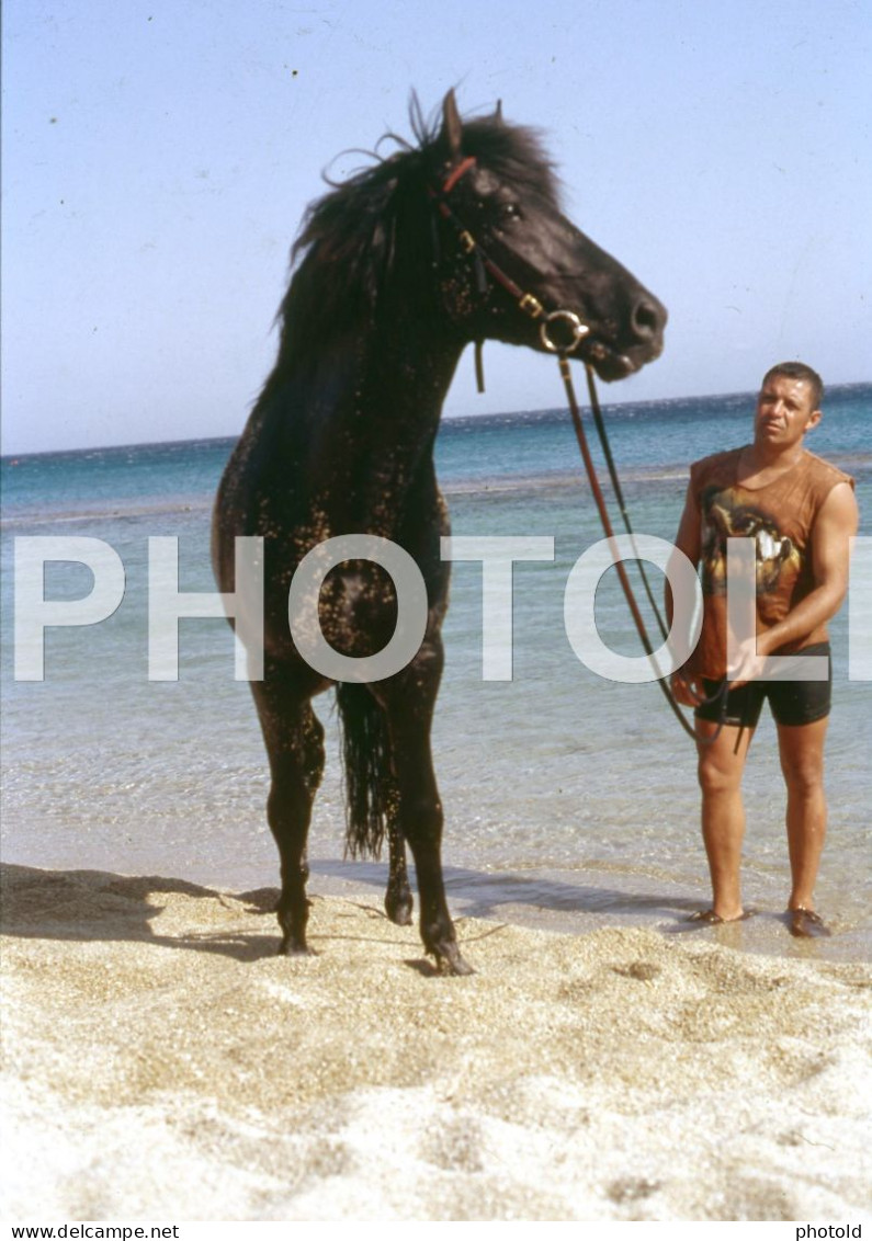 3 SLIDES SET HORSE BEACH CHEVAL 1980s MYCONOS GREECE ORIGINAL AMATEUR 35mm DIAPOSITIVE SLIDE Not PHOTO FOTO NB4042 - Diapositives (slides)