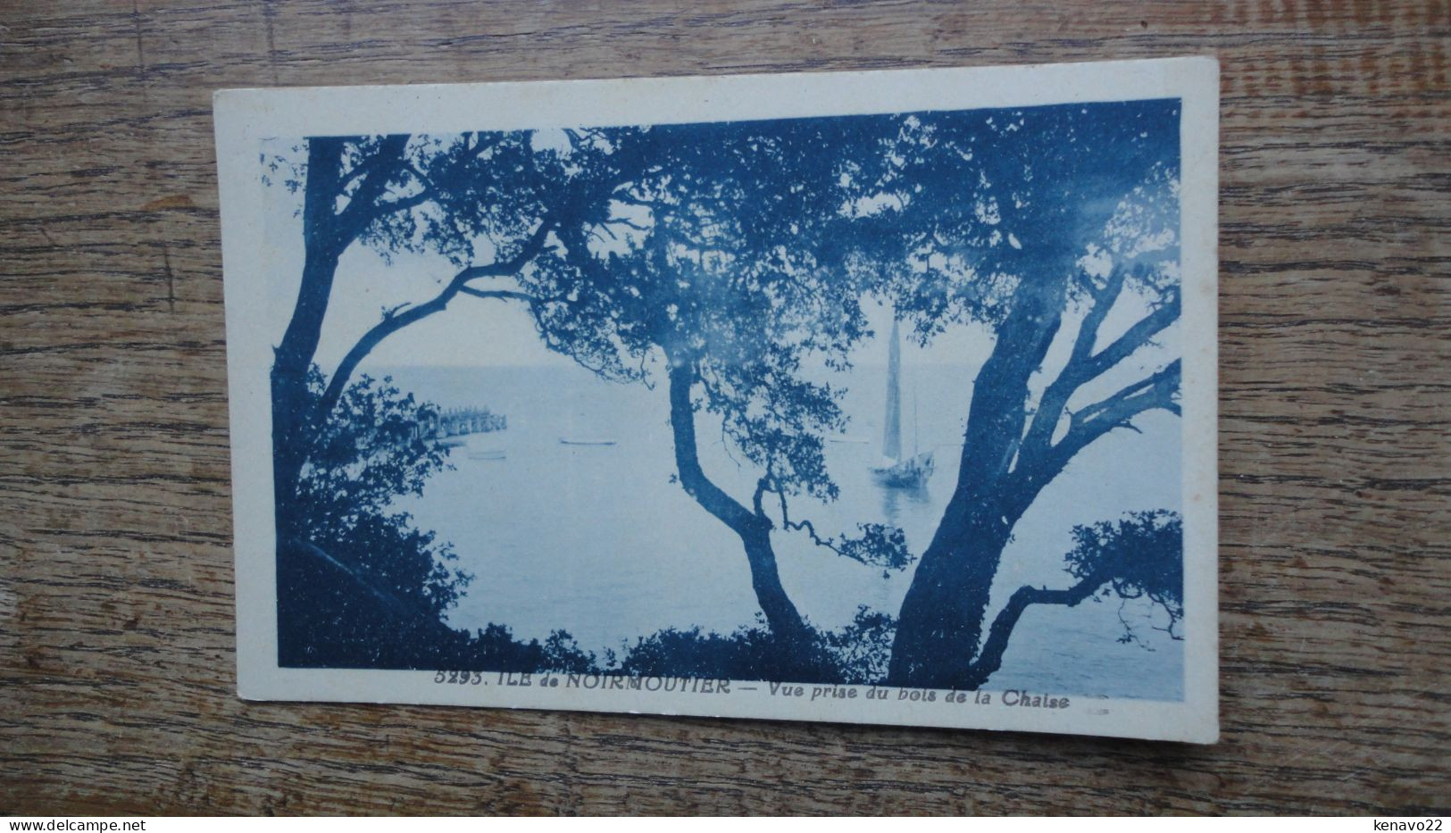 île De Noirmoutier , Vue Prise Du Bois De La Chaise - Ile De Noirmoutier