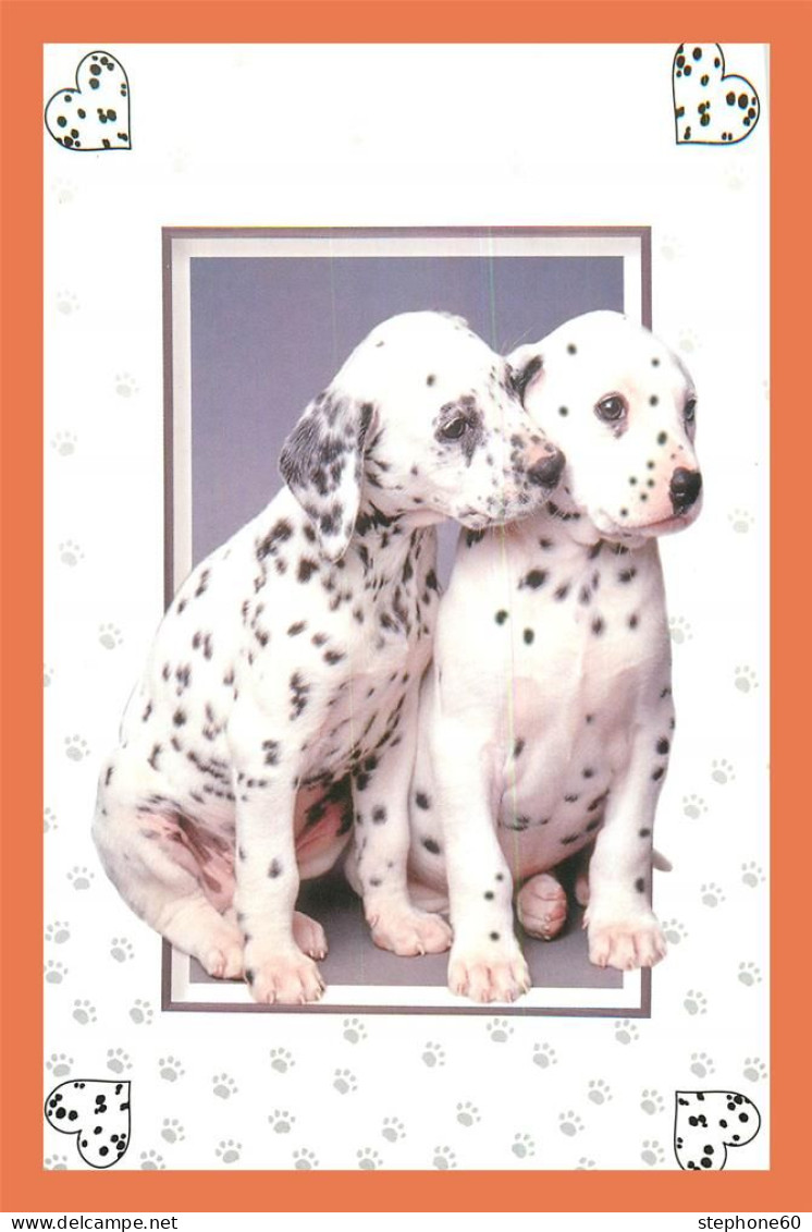 A677 / 583 Chien Dalmatien - Andere & Zonder Classificatie