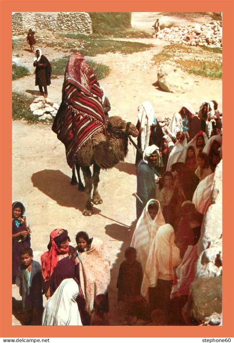 A682 / 577 Tunisie Ceremonie Nuptiale ( Chameau ) - Tunisia