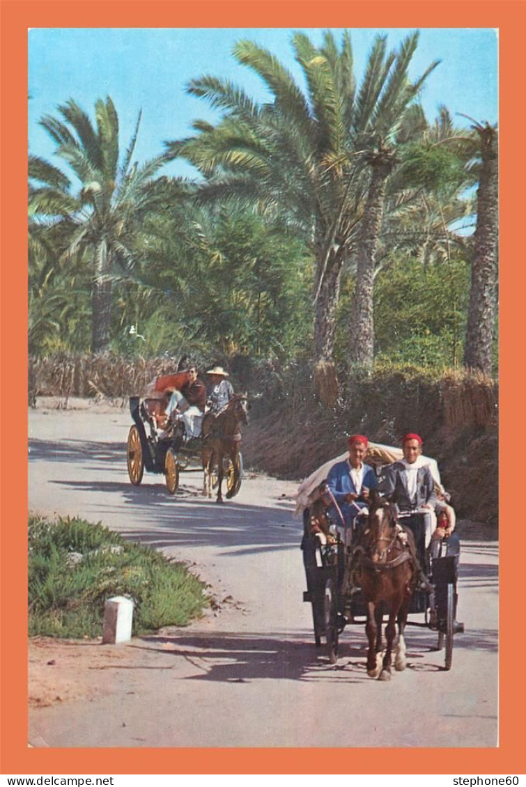 A682 / 571 Tunisie GABES Promenade à Travers L'Oasis ( Cheavaux ) - Tunisia