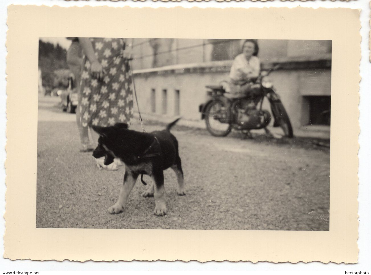 Snapshot Superbe Homme Moto à Situer Identifier 40s 50s Composition Arrière Plan Chien Rue Street Femme 50s 60s - Anonieme Personen