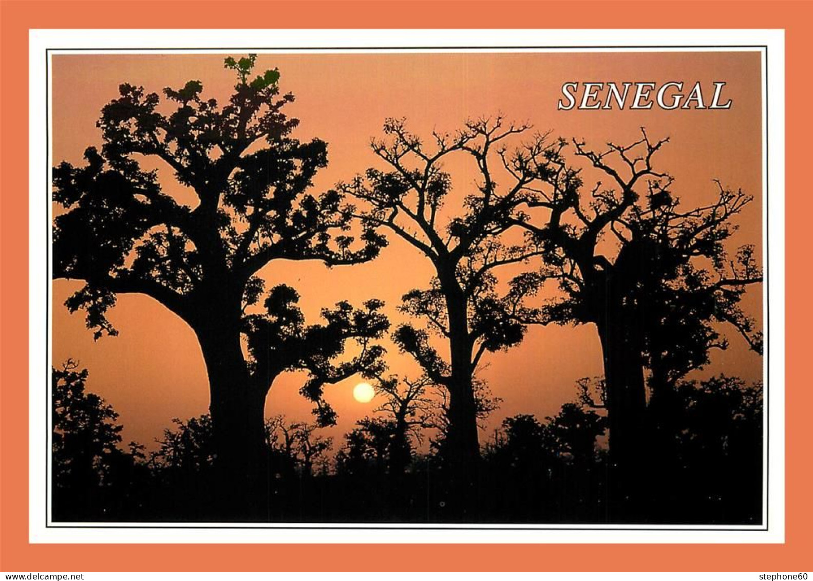 A686 / 327 SENEGAL Baobabs Coucher De Soleil - Ohne Zuordnung