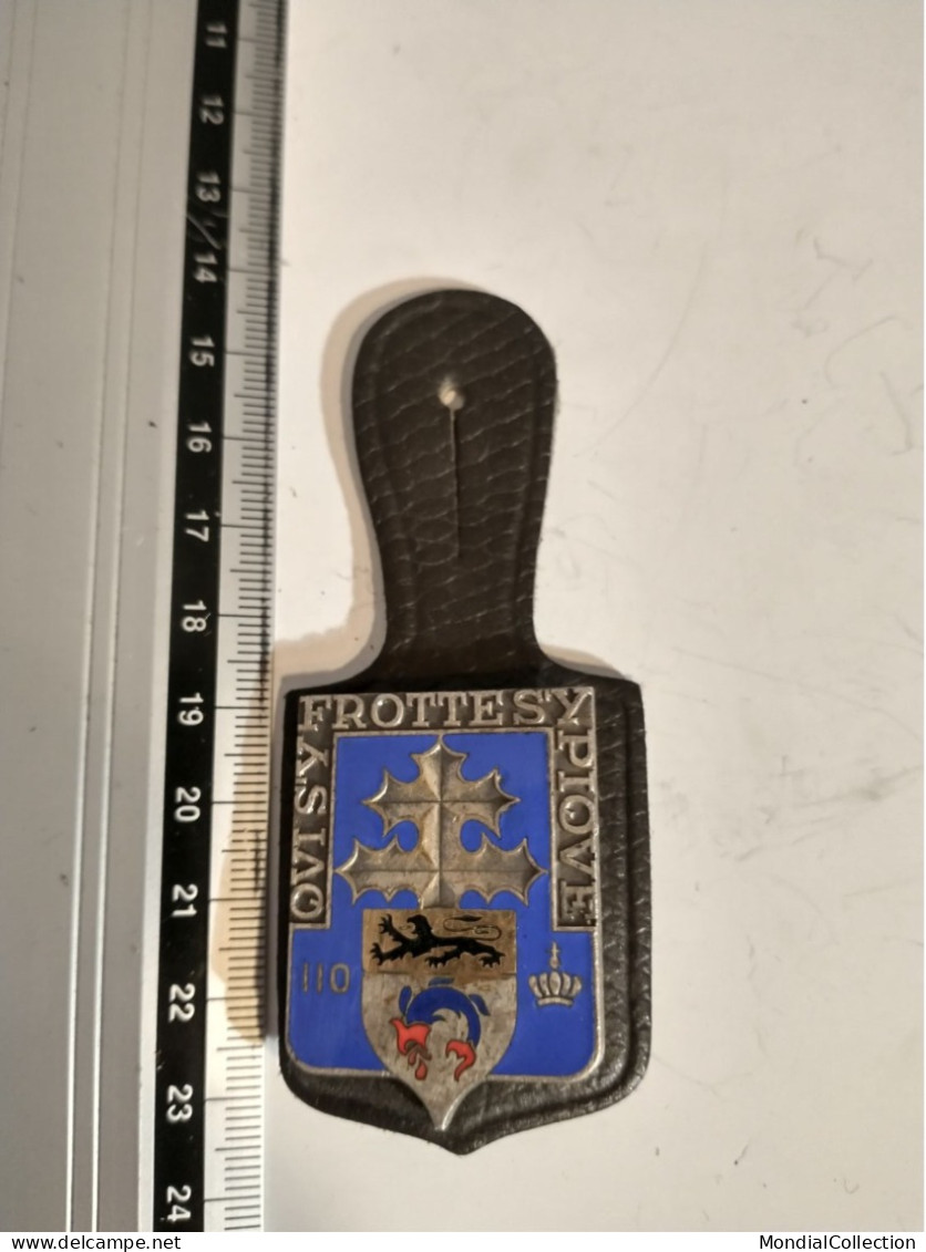 INSIGNE 110° RI REGIMENT D' INFANTERIE, Devise QUI S' Y FROTTE S' Y PIQUE - 06 LE CANNET ? - Army