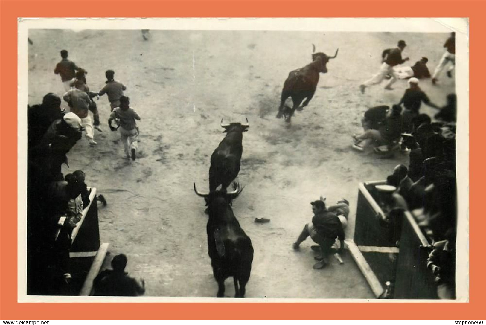 A717 / 255 Corrida Carte PHOTO ! Taueau - Stierkampf