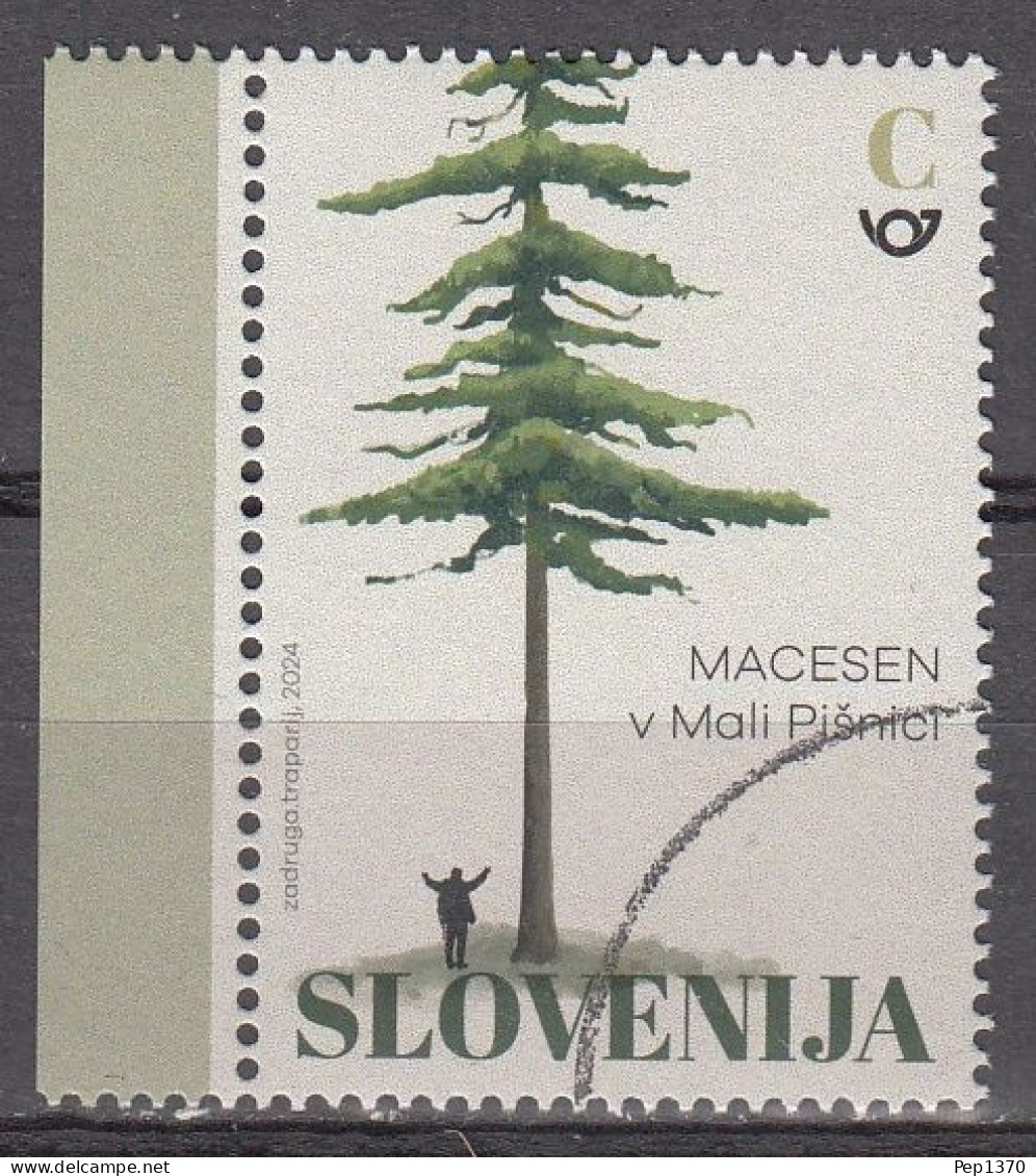 ESLOVENIA 2024 - EL PINO ALERCE EN EL VALLE DE MALA PISNICA - MUESTRA-SPECIMEN A FACIAL - 1 SELLO - Slovenië