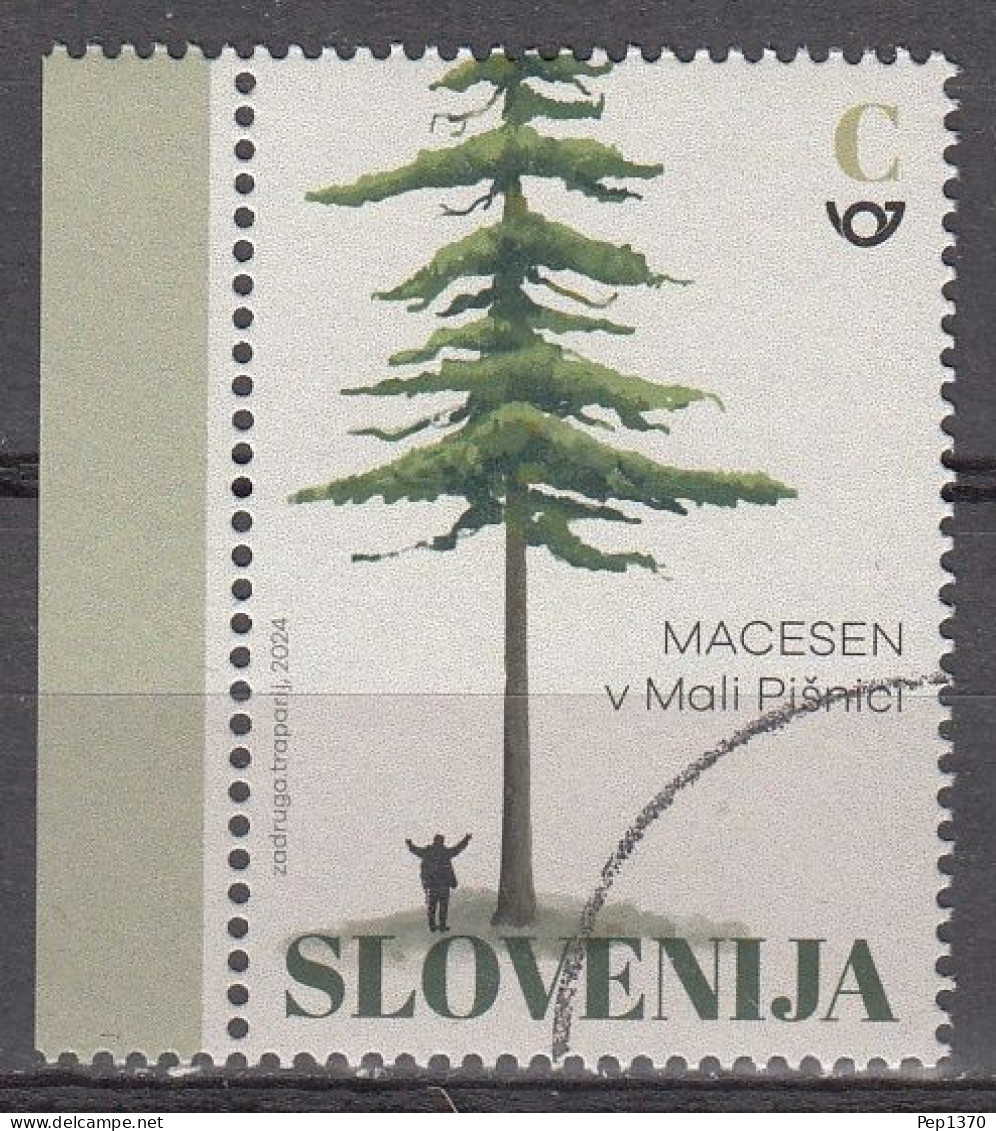 ESLOVENIA 2024 - EL PINO ALERCE EN EL VALLE DE MALA PISNICA - MUESTRA-SPECIMEN A FACIAL - 1 SELLO - Slowenien