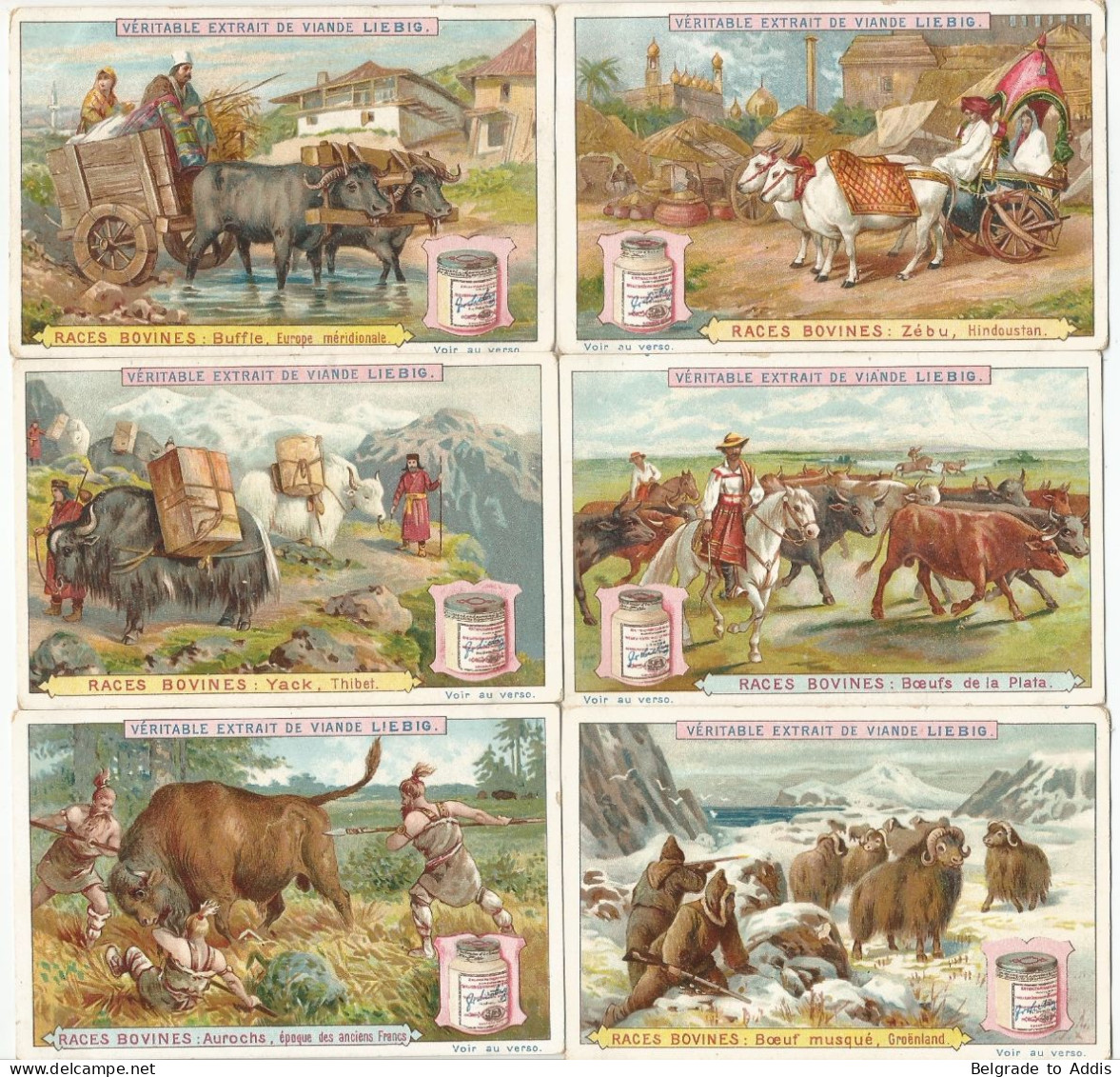 Chromo Liebig Série Compl. De 6 Chromos S_0503 Races Bovines 1897 - Liebig