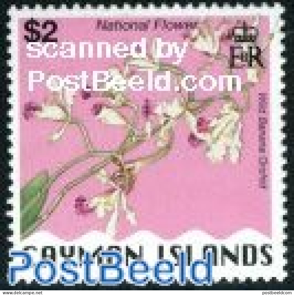 Cayman Islands 1996 Stamp Out Of Set, Mint NH, Nature - Flowers & Plants - Orchids - Kaaiman Eilanden