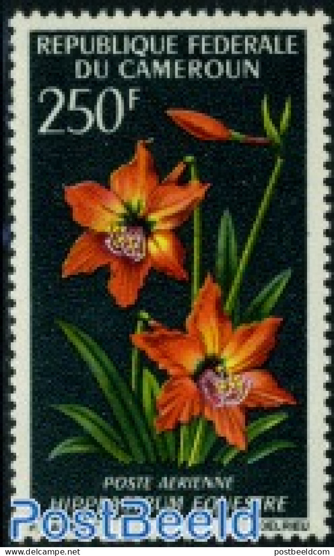 Cameroon 1967 250F, Stamp Out Of Set, Mint NH, Nature - Flowers & Plants - Camerún (1960-...)