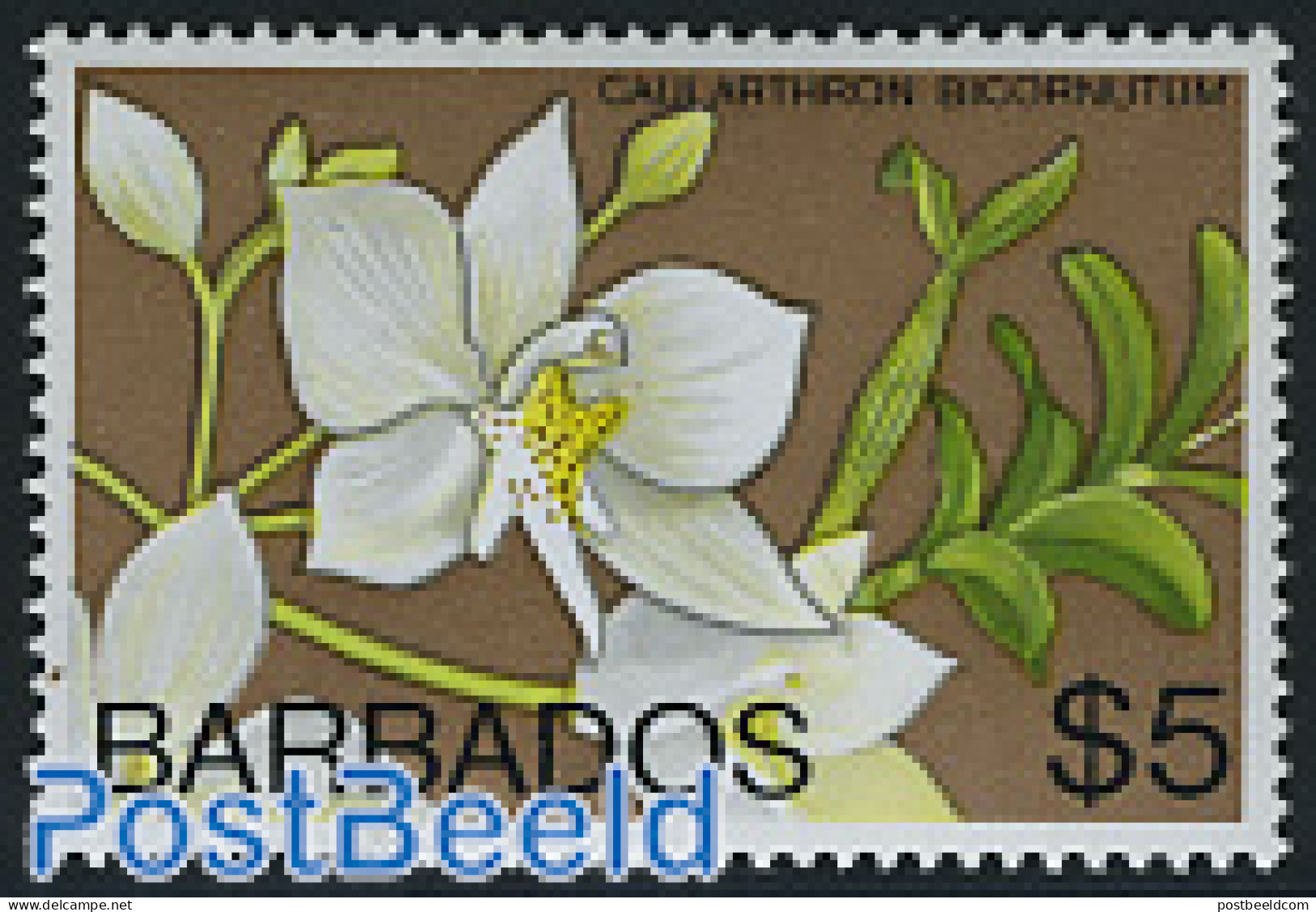 Barbados 1974 5$, Stamp Out Of Set, Mint NH, Nature - Flowers & Plants - Orchids - Barbados (1966-...)