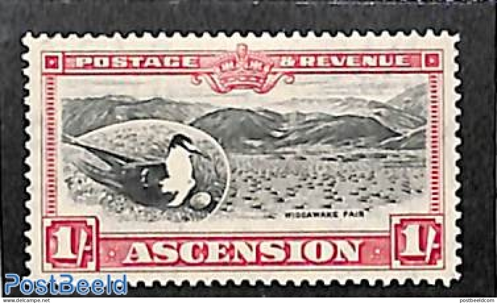 Ascension 1934 1Sh, Stamp Out Of Set, Unused (hinged), Nature - Birds - Ascensione