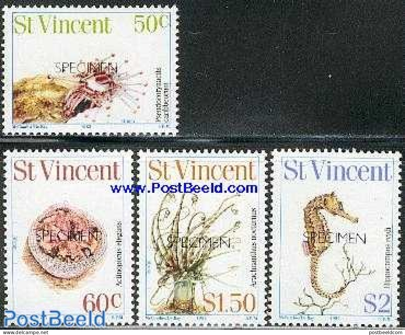 Saint Vincent 1983 MARINE LIFE 4V SPECIMEN, Mint NH, Nature - Shells & Crustaceans - Maritiem Leven