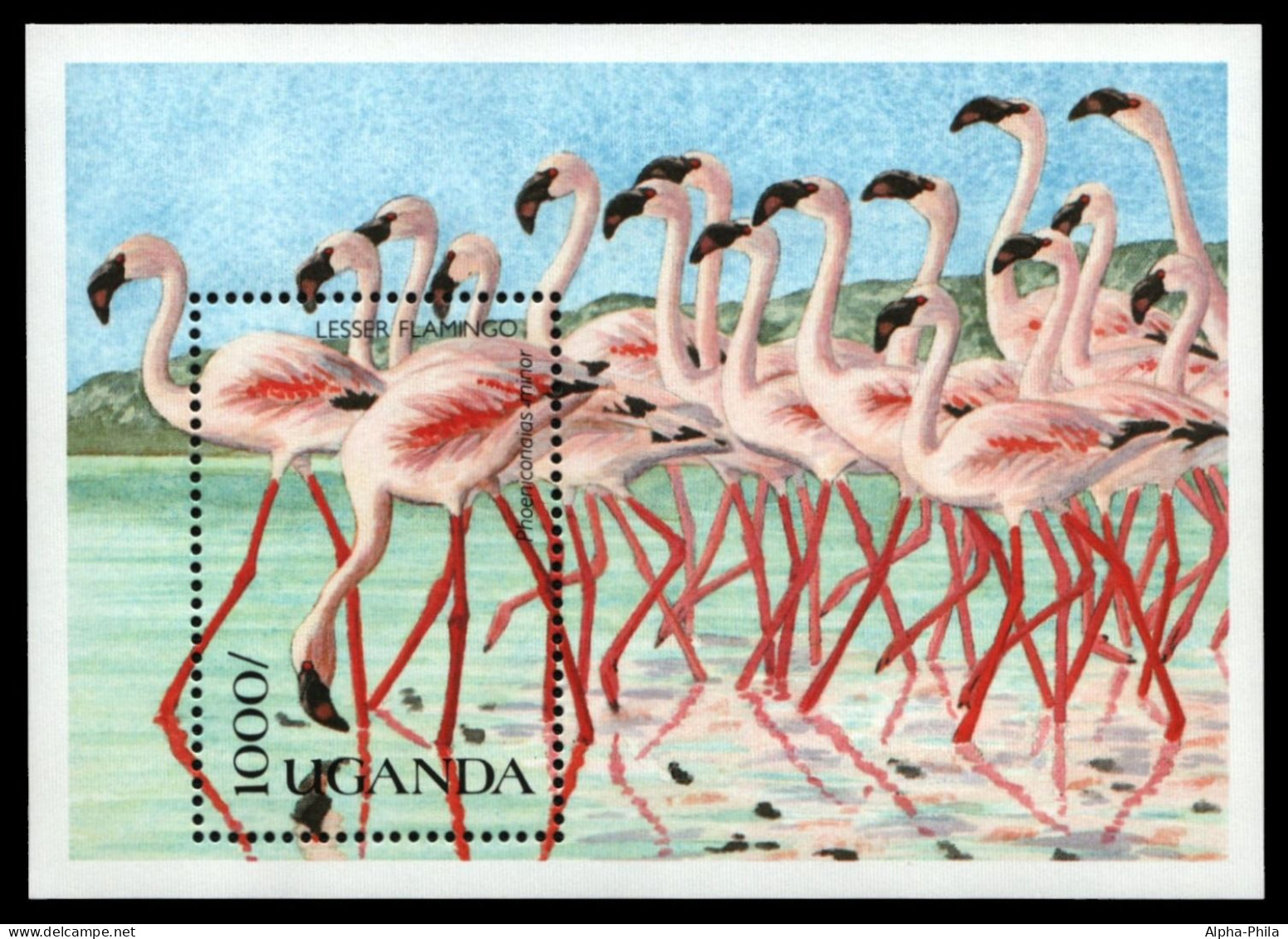 Uganda 1990 - Mi-Nr. Block 120 ** - MNH - Vögel / Birds - Ouganda (1962-...)