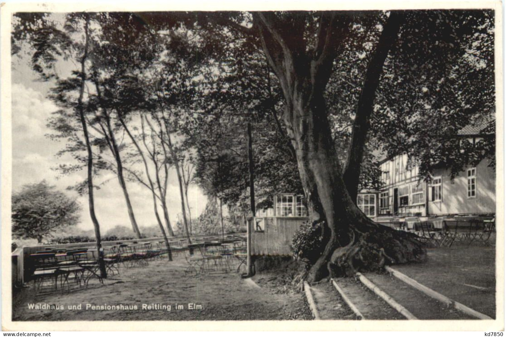 Waldhaus Reitling Im Elm - Wolfenbuettel