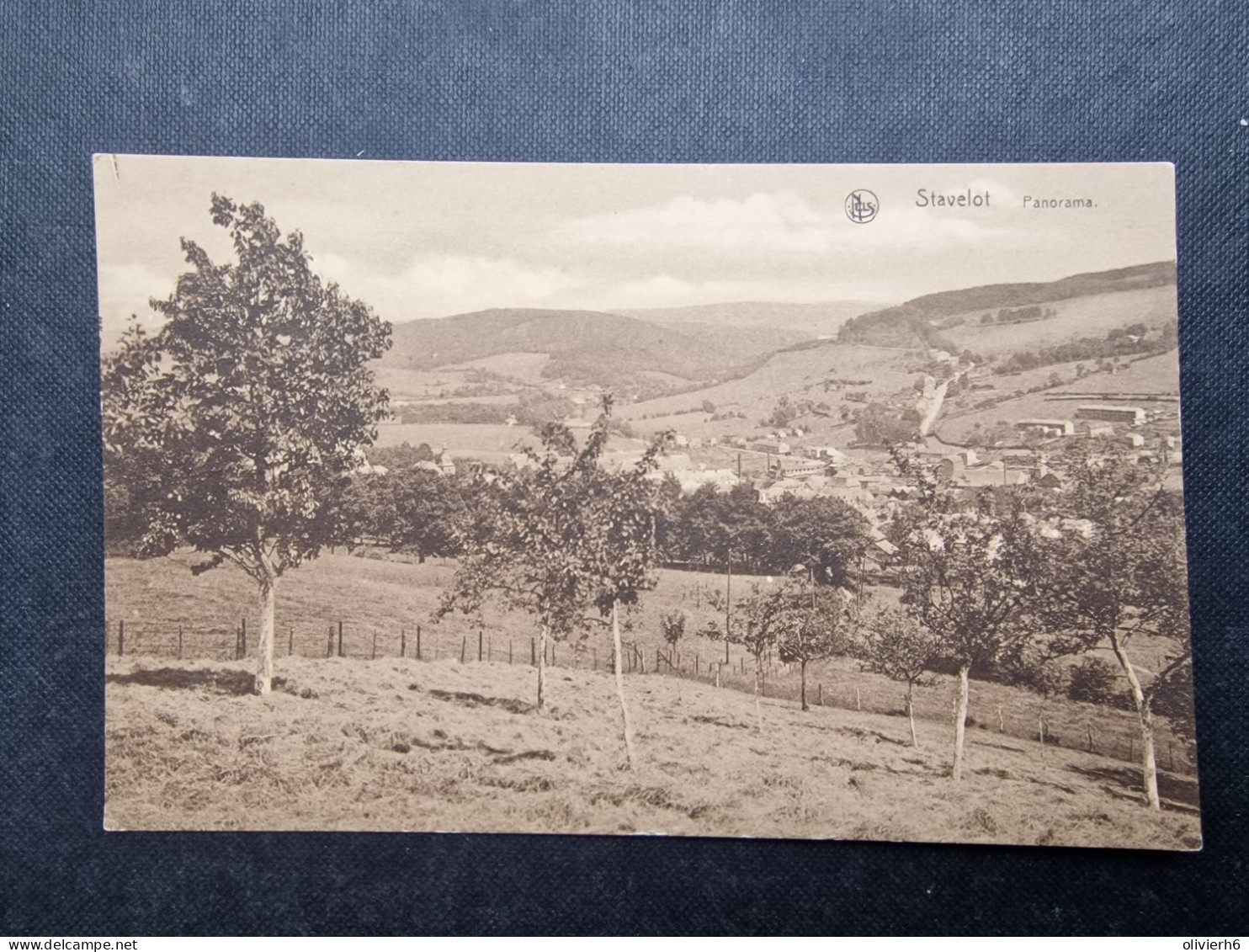 CP BELGIQUE (V2402) STAVELOT (2 Vues) Panorama - Stavelot