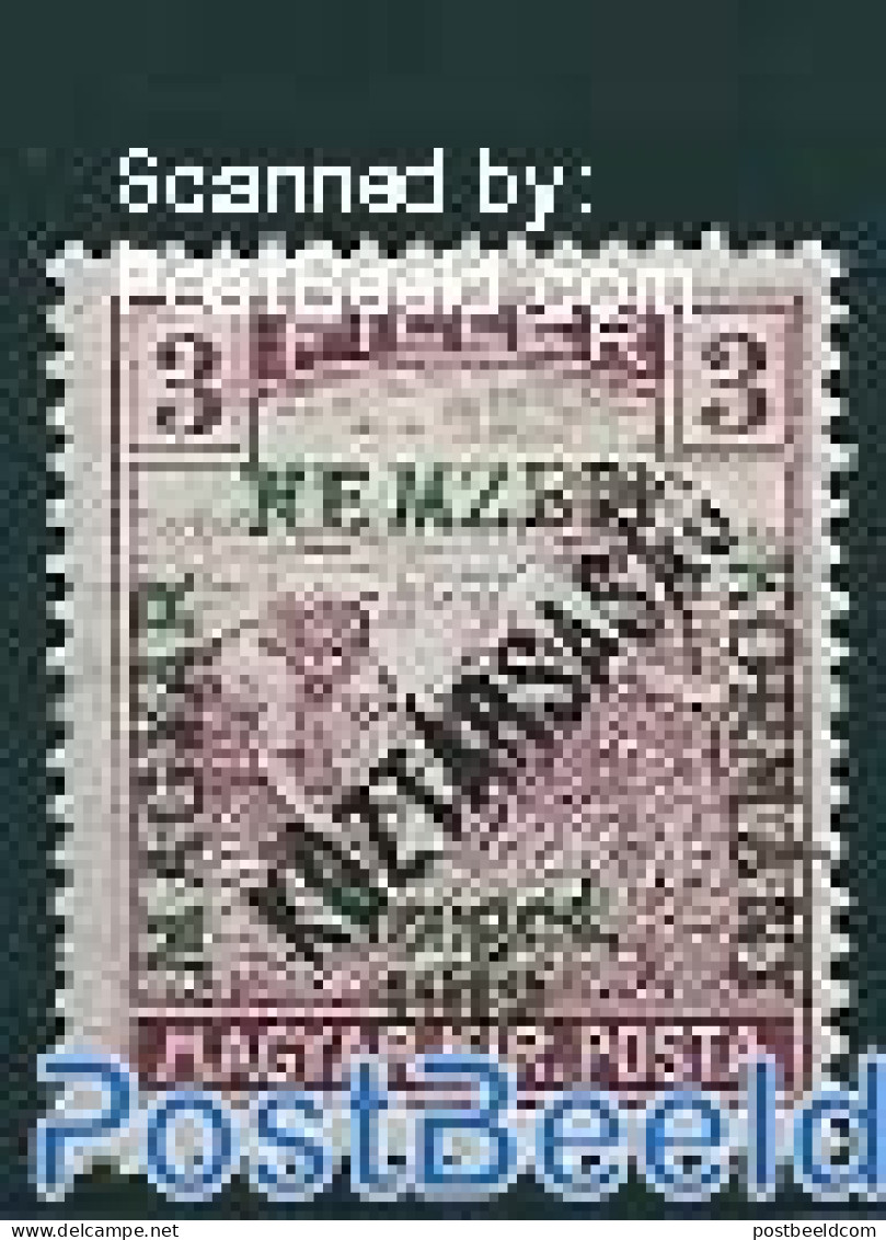 Hungary 1919 Szegedin, 3f, Stamp Out Of Set, Unused (hinged) - Unused Stamps