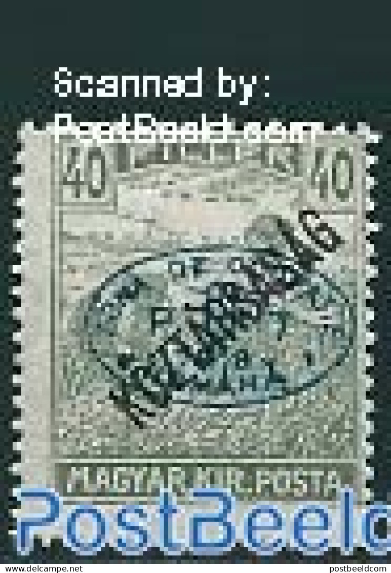 Hungary 1919 Debrecen, 40f, Stamp Out Of Set, Unused (hinged) - Unused Stamps