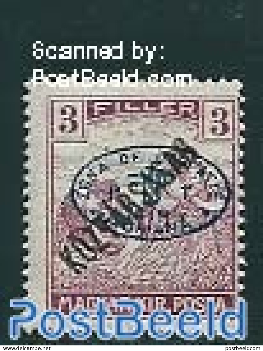 Hungary 1919 Debrecen, 3f, Stamp Out Of Set, Unused (hinged) - Nuovi