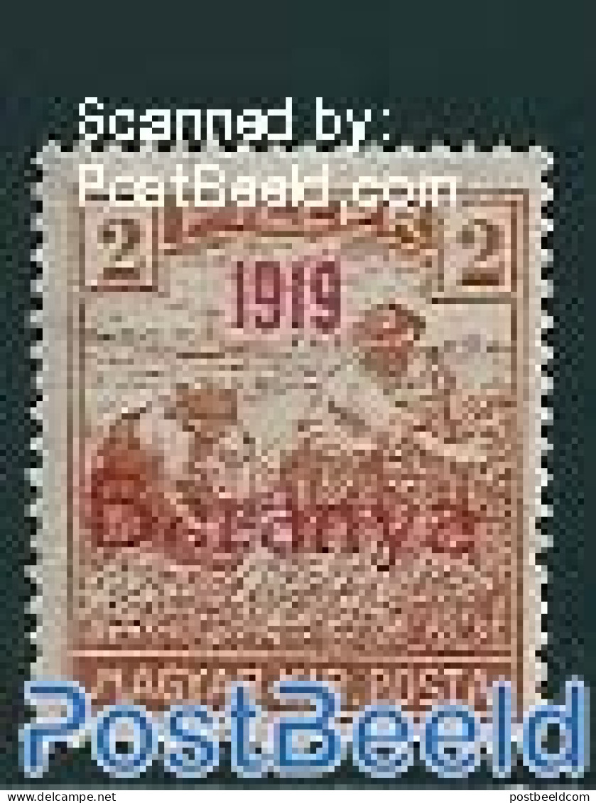 Hungary 1919 Baranya, 2f, Stamp Out Of Set, Unused (hinged) - Ungebraucht