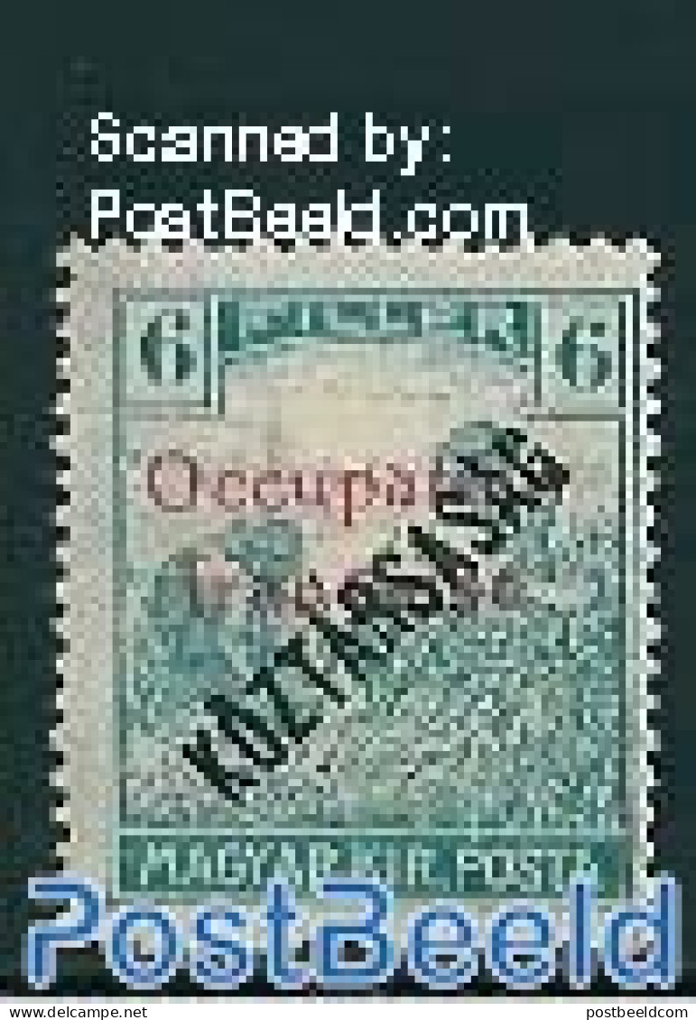 Hungary 1919 Arad, 6f, Stamp Out Of Set, Unused (hinged) - Neufs