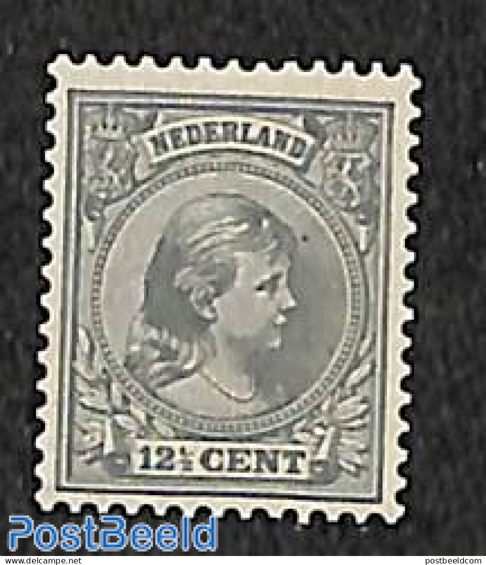 Netherlands 1891 12.5c, Grey, Stamp Out Of Set, Mint NH - Ongebruikt