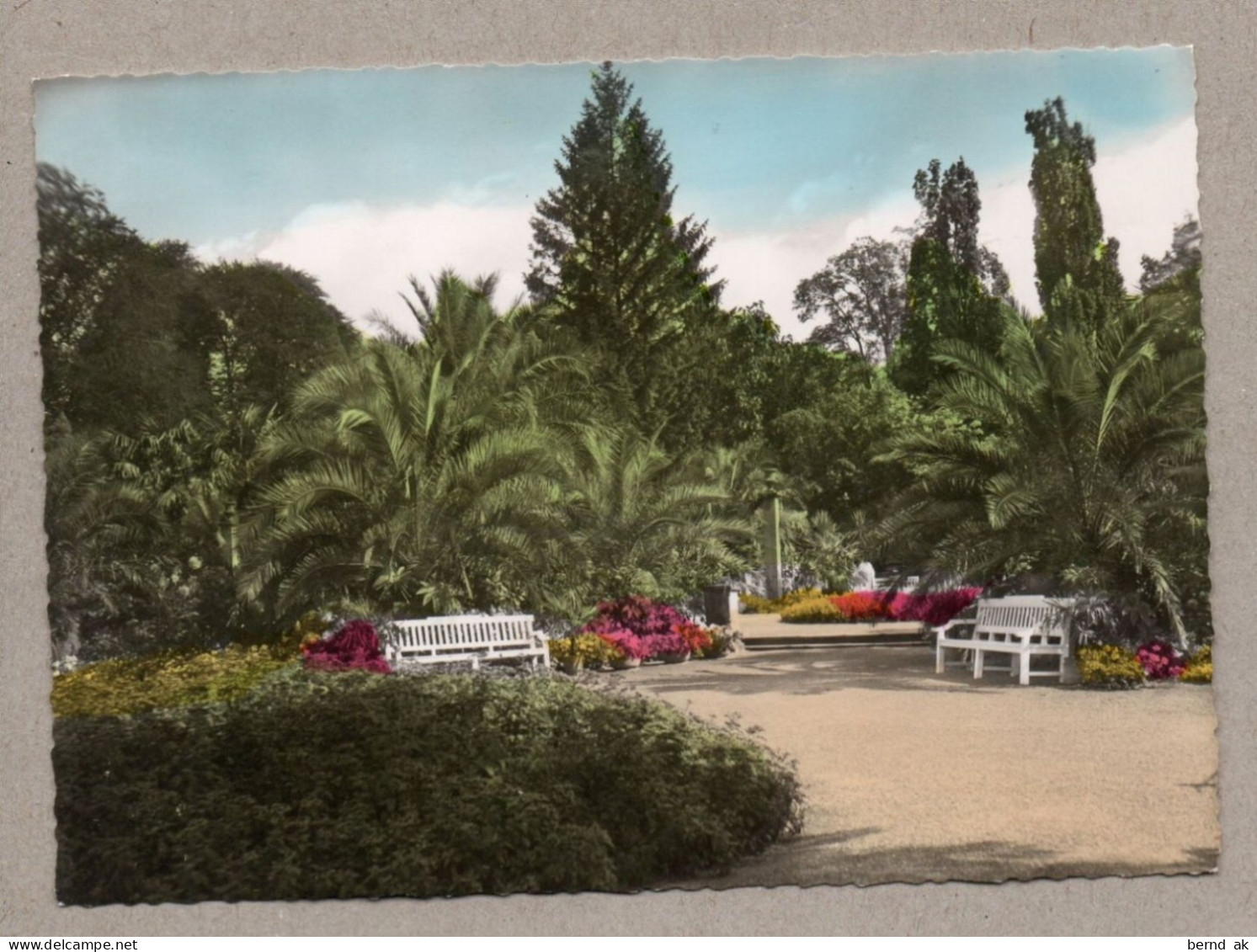 A6829} BRD- Color-AK: Bad Pyrmont - Kurpark Mit Palmengarten - Bad Pyrmont