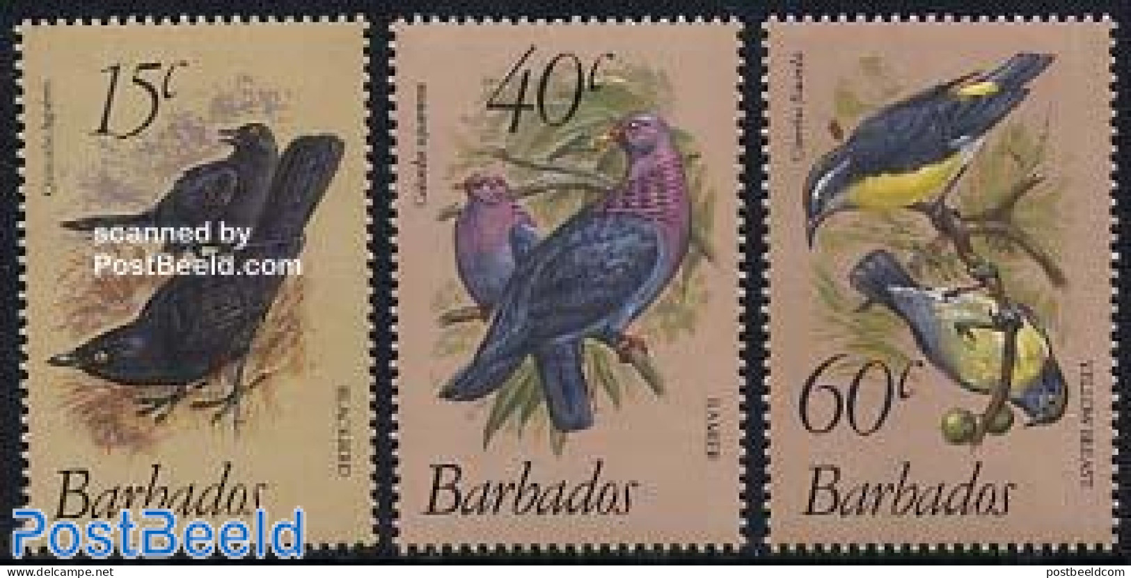 Barbados 1982 Birds 3v, Mint NH, Nature - Birds - Pigeons - Barbades (1966-...)