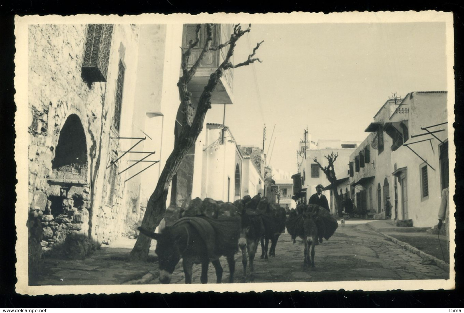 TUNIS Village Arabe Aux Environs De Tunis Carte Photo 1935 - Tunisia